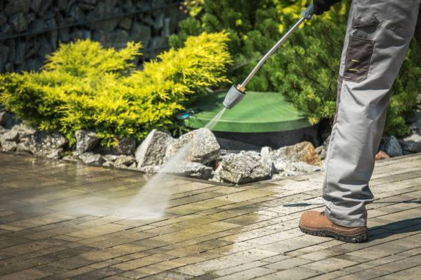 Best Boat and Dock Cleaning  in Somerdale, NJ