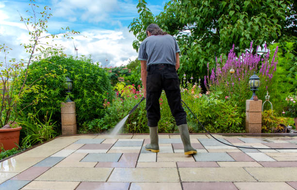 Best Winterizing Services  in Somerdale, NJ