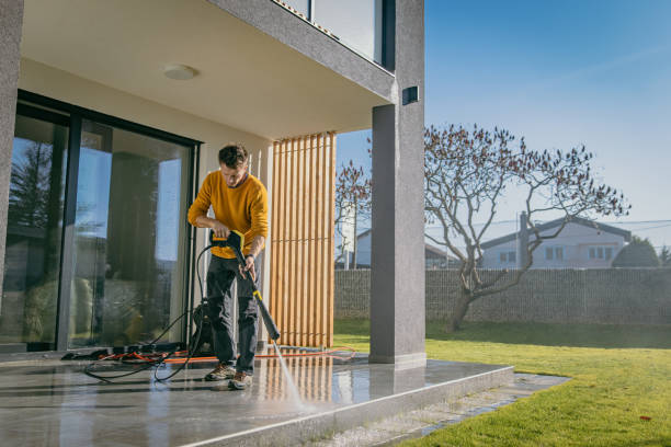 Best Graffiti Removal  in Somerdale, NJ